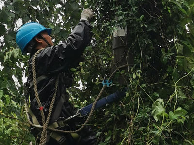 為戰(zhàn)臺(tái)風(fēng)保供電，創(chuàng)輝電氣這樣做